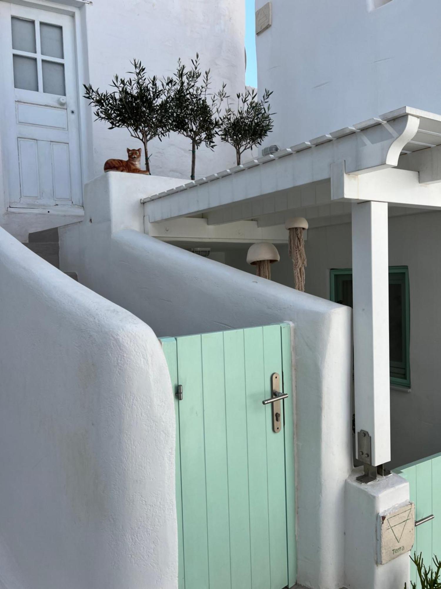 Ianua Casa Per Viaggiatori Apartment Astypalaia Exterior photo